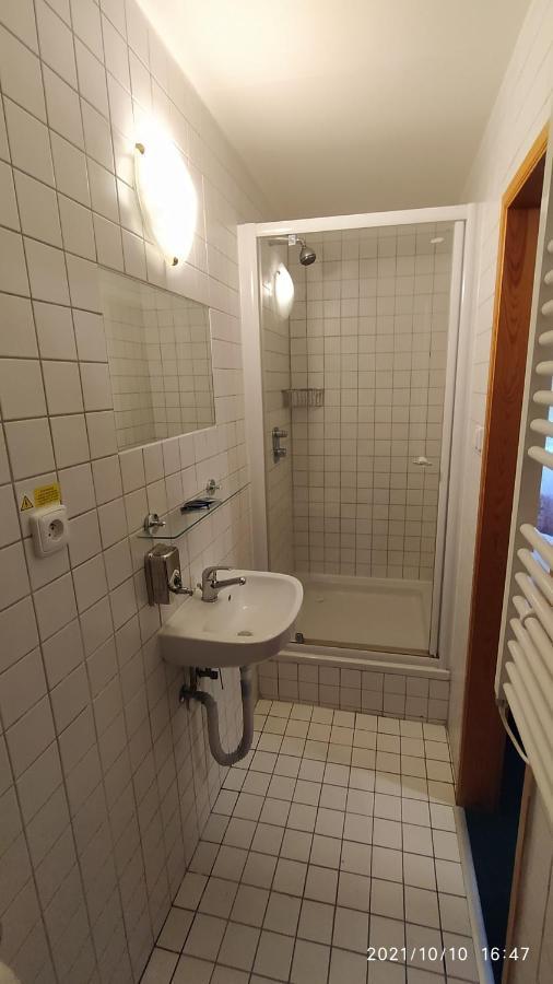 Penzion U Rybnika Mariánská エクステリア 写真