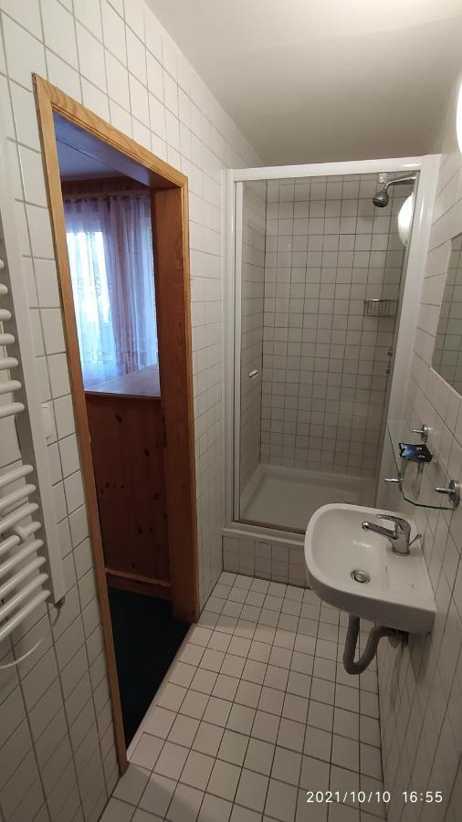 Penzion U Rybnika Mariánská エクステリア 写真